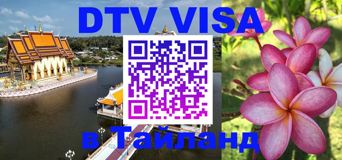 Оформление DTV визы под ключ: стоимость и тарифы, только загранпаспорт - 